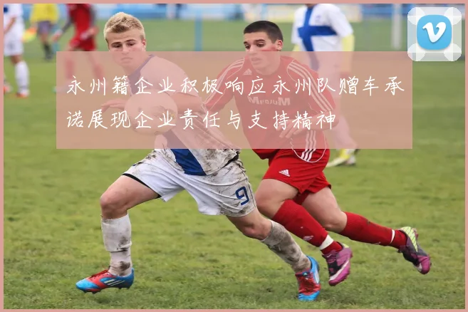 永州籍企业积极响应永州队赠车承诺展现企业责任与支持精神