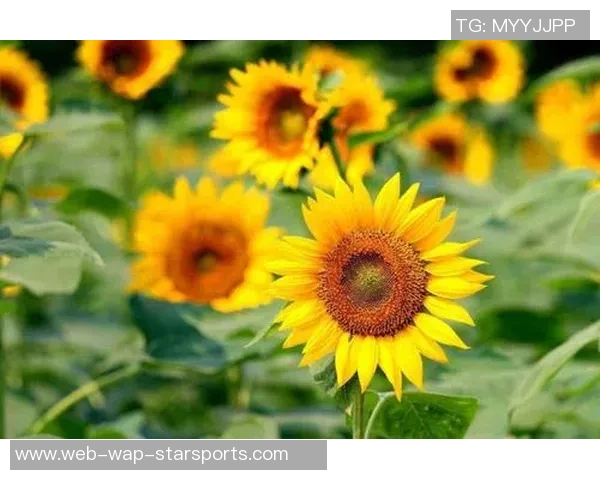 感谢恩加德乌三季拼搏付出祝愿他未来职业生涯顺利辉煌